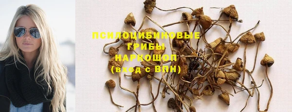 амф Беломорск