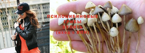 амф Белокуриха